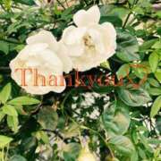 ヒメ日記 2025/12/14 21:26 投稿 黒崎（くろさき） 熟女の風俗最終章 大宮店