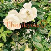 ヒメ日記 2025/12/16 03:25 投稿 黒崎（くろさき） 熟女の風俗最終章 大宮店