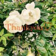 ヒメ日記 2025/12/23 16:35 投稿 黒崎（くろさき） 熟女の風俗最終章 大宮店