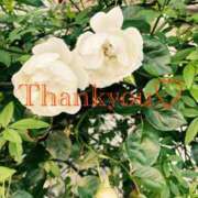 ヒメ日記 2025/12/27 02:05 投稿 黒崎（くろさき） 熟女の風俗最終章 大宮店