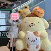 ヒメ日記 2025/07/28 17:28 投稿 あるか★衝撃感度のロリカワJD 渋谷S級素人清楚系デリヘル chloe