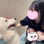 ヒメ日記 2025/07/26 18:47 投稿 あるか★衝撃感度のロリカワJD S級素人清楚系デリヘル chloe