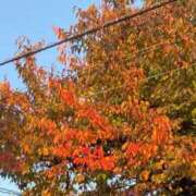 しおり おはようございます^_^ with SPA (ウィズスパ)