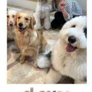 ヒメ日記 2025/08/29 23:37 投稿 中条 変態美熟女お貸しします。