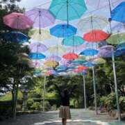 ヒメ日記 2025/10/02 22:27 投稿 中条 変態美熟女お貸しします。