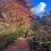 ヒメ日記 2025/11/29 18:17 投稿 中条 変態美熟女お貸しします。