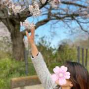 ヒメ日記 2026/03/25 19:07 投稿 中条 変態美熟女お貸しします。