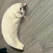 ヒメ日記 2025/08/20 18:15 投稿 りょうこ with SPA (ウィズスパ)