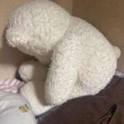 ヒメ日記 2025/09/04 11:05 投稿 大橋　るな しこたま奥様 札幌店