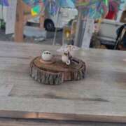 ヒメ日記 2025/09/13 15:25 投稿 大橋　るな しこたま奥様 札幌店