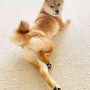 ヒメ日記 2025/08/04 13:46 投稿 ごしょがわら とある風俗店♡やりすぎさーくる新宿大久保店♡で色んな無料オプションしてみました