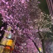 ごしょがわら 16:00〜👹 とある風俗店♡やりすぎさーくる新宿大久保店♡で色んな無料オプションしてみました