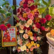 ヒメ日記 2026/05/10 14:05 投稿 ごしょがわら とある風俗店♡やりすぎさーくる新宿大久保店♡で色んな無料オプションしてみました