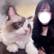 ヒメ日記 2025/08/19 18:04 投稿 蝶羽 桃李（とうり）