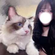 ヒメ日記 2025/08/30 16:15 投稿 蝶羽 桃李（とうり）