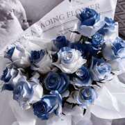 ヒメ日記 2025/08/30 20:04 投稿 蝶羽 桃李（とうり）