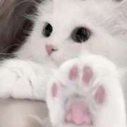 蝶羽 明日も♡ 桃李（とうり）