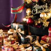 ヒメ日記 2025/12/19 15:55 投稿 葵ももな 全裸美女からのカゲキな誘惑