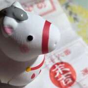 葵ももな おみくじ 全裸美女からのカゲキな誘惑