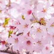 ヒメ日記 2026/03/29 23:30 投稿 葵ももな 全裸美女からのカゲキな誘惑