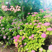 ヒメ日記 2025/07/31 15:45 投稿 ふみな 性腺熟女100％（デリヘル市場）