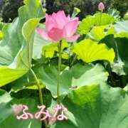 ヒメ日記 2025/08/02 11:00 投稿 ふみな 性腺熟女100％（デリヘル市場）