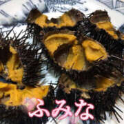 ヒメ日記 2025/09/03 12:00 投稿 ふみな 性腺熟女100％（デリヘル市場）