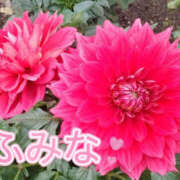 ヒメ日記 2025/10/29 11:55 投稿 ふみな 性腺熟女100％（デリヘル市場）