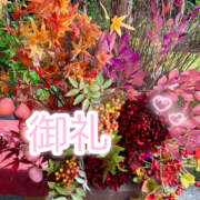 ヒメ日記 2025/11/08 16:20 投稿 ふみな 性腺熟女100％（デリヘル市場）