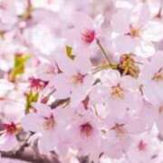 ヒメ日記 2026/03/29 23:35 投稿 練馬ももな THE痴漢電車.com