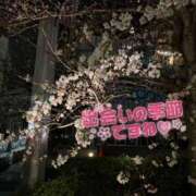 ヒメ日記 2026/04/04 12:21 投稿 香里奈～かりな～ ドMバスターズ 京都店