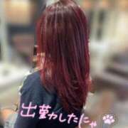 ヒメ日記 2026/04/25 14:03 投稿 香里奈～かりな～ ドMバスターズ 京都店