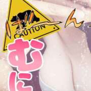 ヒメ日記 2026/03/01 22:44 投稿 上杉希実 五十路マダム　広島店