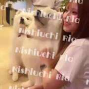 ヒメ日記 2025/09/10 16:48 投稿 西内りあ ブルーバード