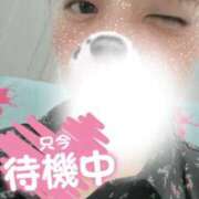 ヒメ日記 2025/09/01 13:10 投稿 なほ One More奥様 大宮店