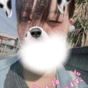 ヒメ日記 2025/10/02 13:40 投稿 なほ One More奥様 大宮店