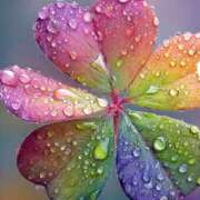 かりな 【お礼写メ日記】 激安ピーチ