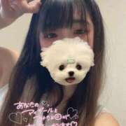 ヒメ日記 2025/08/15 22:38 投稿 いと E+アイドルスクール船橋店