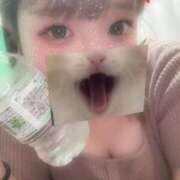 ヒメ日記 2026/05/19 14:57 投稿 りり 埼玉熊谷ちゃんこ