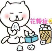 ヒメ日記 2026/02/22 22:41 投稿 るな 奥様なでしこ