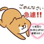 ヒメ日記 2026/02/23 09:29 投稿 るな 奥様なでしこ