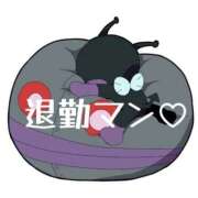 ヒメ日記 2026/03/14 06:14 投稿 るな 奥様なでしこ