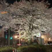 ヒメ日記 2026/04/02 21:51 投稿 るな 奥様なでしこ