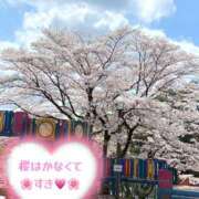 ヒメ日記 2026/04/06 15:15 投稿 るな 奥様なでしこ