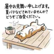 (コスパ)相沢まきこ/地元出身 おはようございます♡♡ 風俗イキタイいわき店