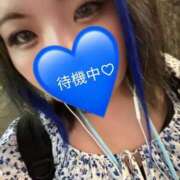 【新人】しおん 出勤してるよー 神奈川小田原ちゃんこ