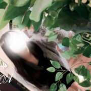 ヒメ日記 2025/11/28 23:01 投稿 天上天下のあ爆乳独尊 池袋巨乳風俗戦隊ぱいおつレンジャー