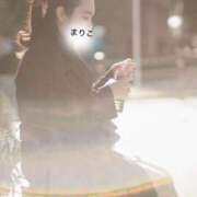 ヒメ日記 2025/12/11 13:36 投稿 まりこ あおば睾丸診療所