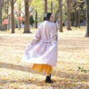 ヒメ日記 2025/12/23 17:26 投稿 まりこ あおば睾丸診療所