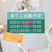 ヒメ日記 2026/03/04 07:06 投稿 まりこ あおば睾丸診療所